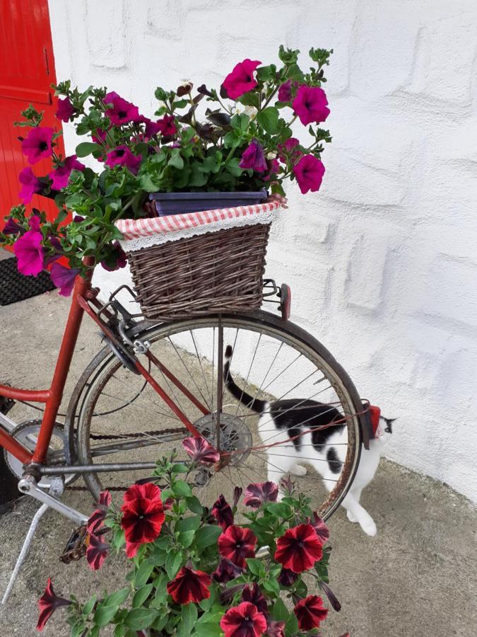 Cummins Cottages Ballycrossaun ภายนอก รูปภาพ