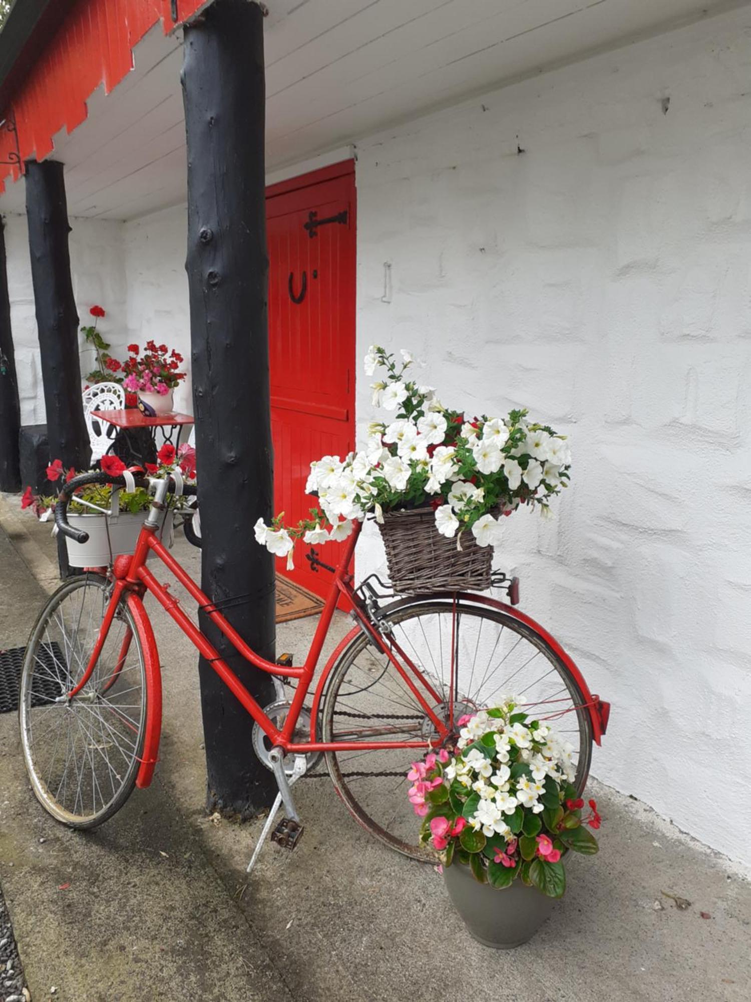 Cummins Cottages Ballycrossaun ภายนอก รูปภาพ