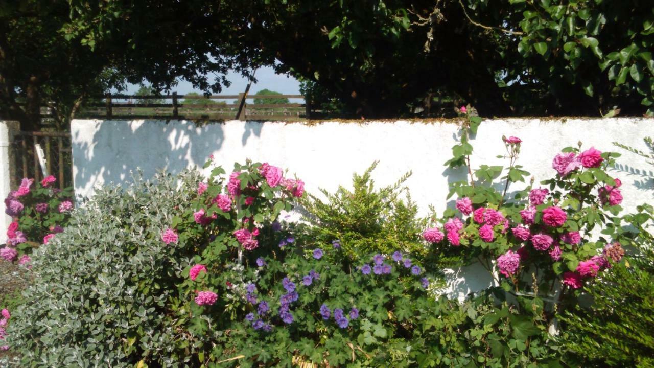 Cummins Cottages Ballycrossaun ภายนอก รูปภาพ